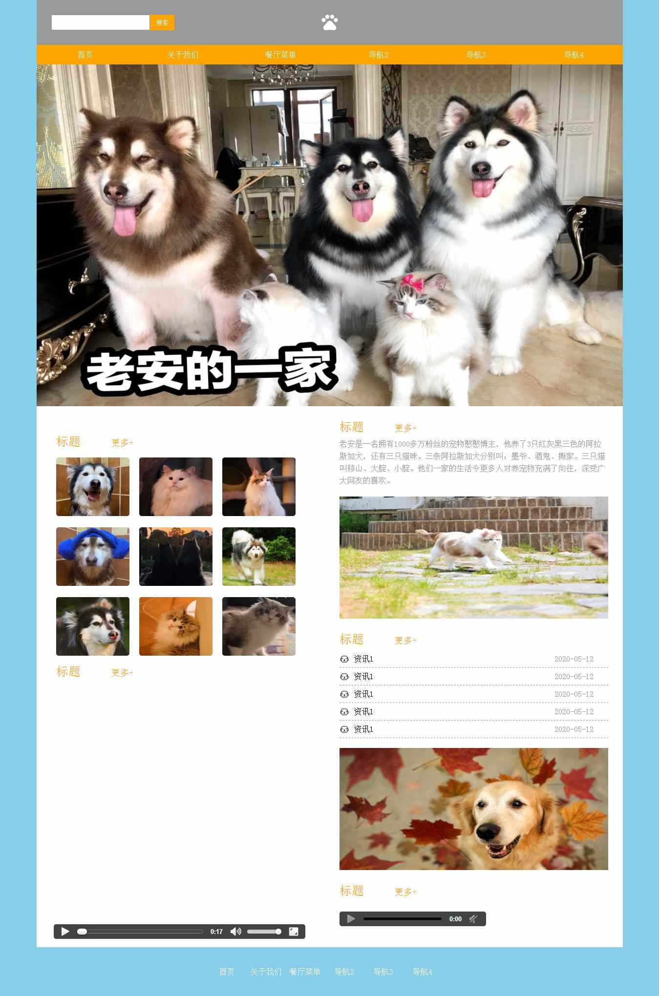 编号：1290 宠物网站 1页 视频 CSS布局 20元